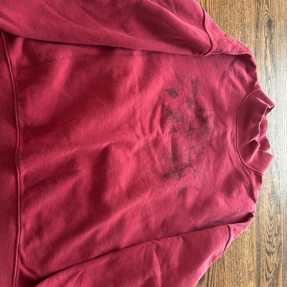 American Eagle Outfitters Red Sweatshirt